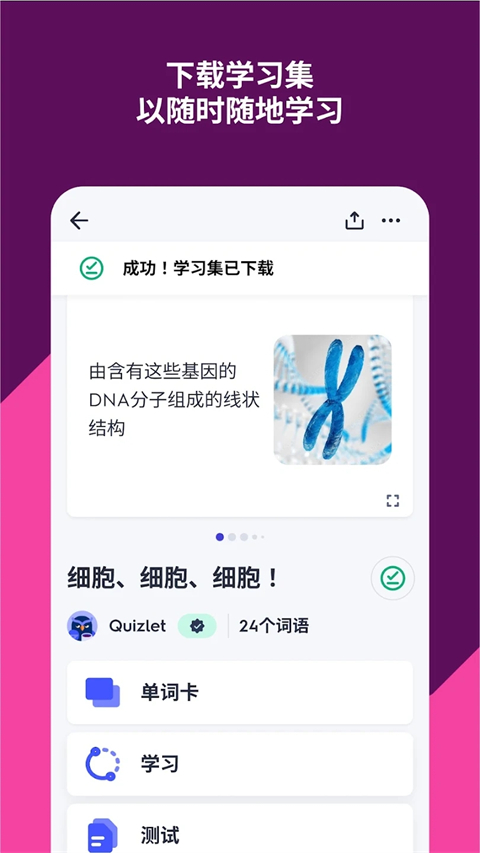 quizlet官方版 1