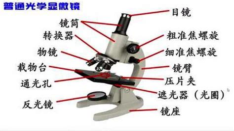 探索微观世界：揭秘显微镜精妙结构图解 3