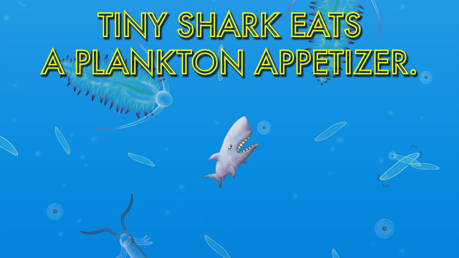 美味深蓝最新版 1