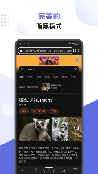 狐猴浏览器app 1