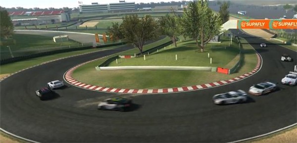 真实赛车3安卓正版 1