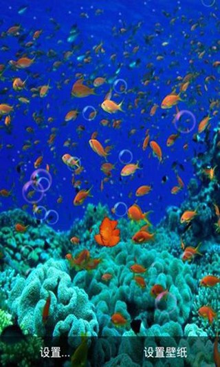 海底动态壁纸手机壁纸 1