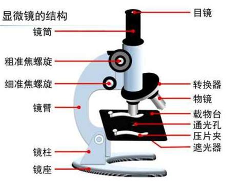 探索微观世界：揭秘显微镜精妙结构图解 2