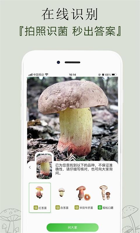 菌窝子app 1