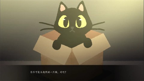 别带这只猫回家手机版 1