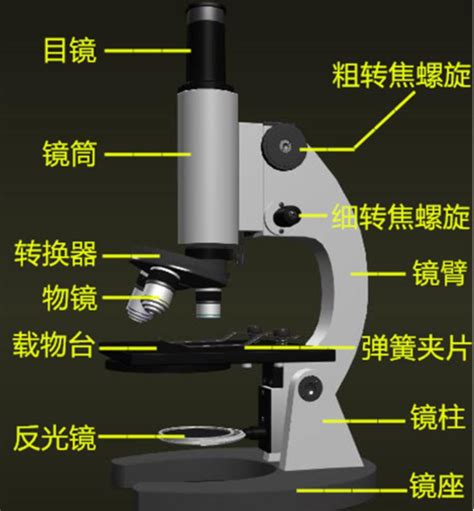 显微镜：揭秘其精妙构造的各部分名称 3