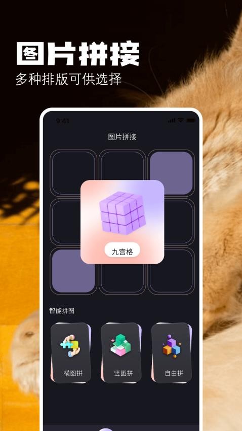 布偶相机正式版app 1
