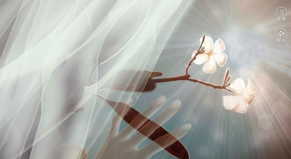 橙光未成沉醉意先融 1