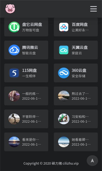 bt磁力猪搜索 1