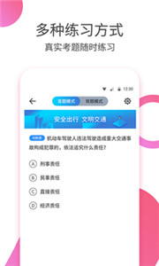 驾考大师 1