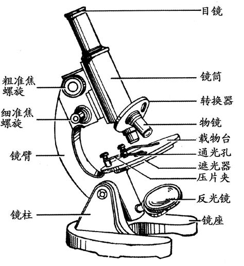 探索微观世界：揭秘显微镜精妙结构图解 1