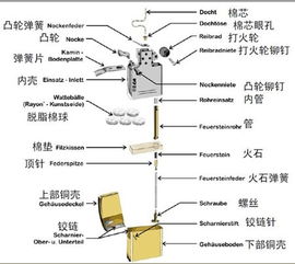 探索显微镜的奥秘：各部件名称及其神奇作用 1