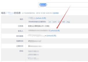 为什么新注册的域名显示已经备案？