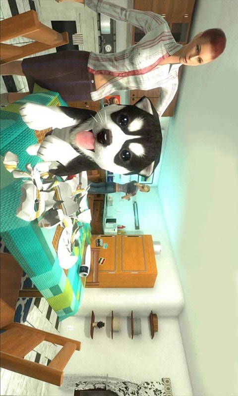 小猫历险记 1