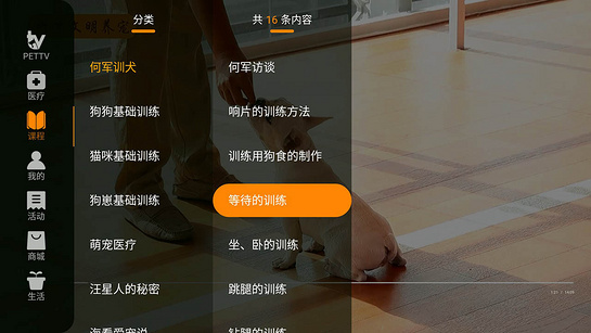 萌宠TV 截图4