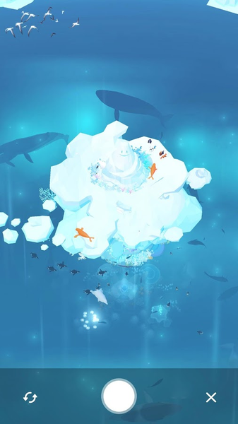 深海水族馆极地 1