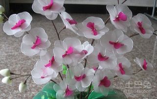 轻松学会：精美丝网花蝴蝶兰DIY制作教程 1