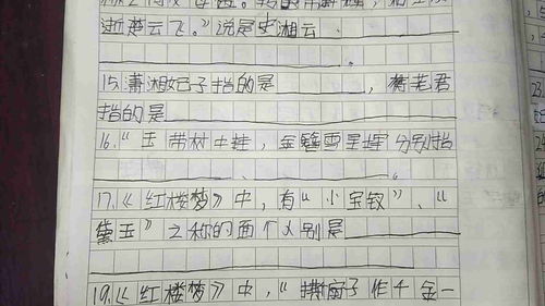 潇湘妃子含义解析 2