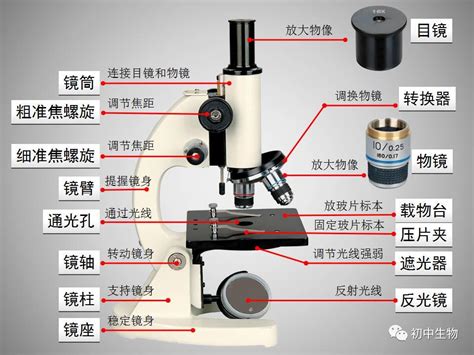 如何正确进行显微镜使用的七个步骤？ 3