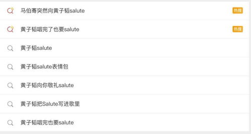 揭秘“salute”的真正含义 1