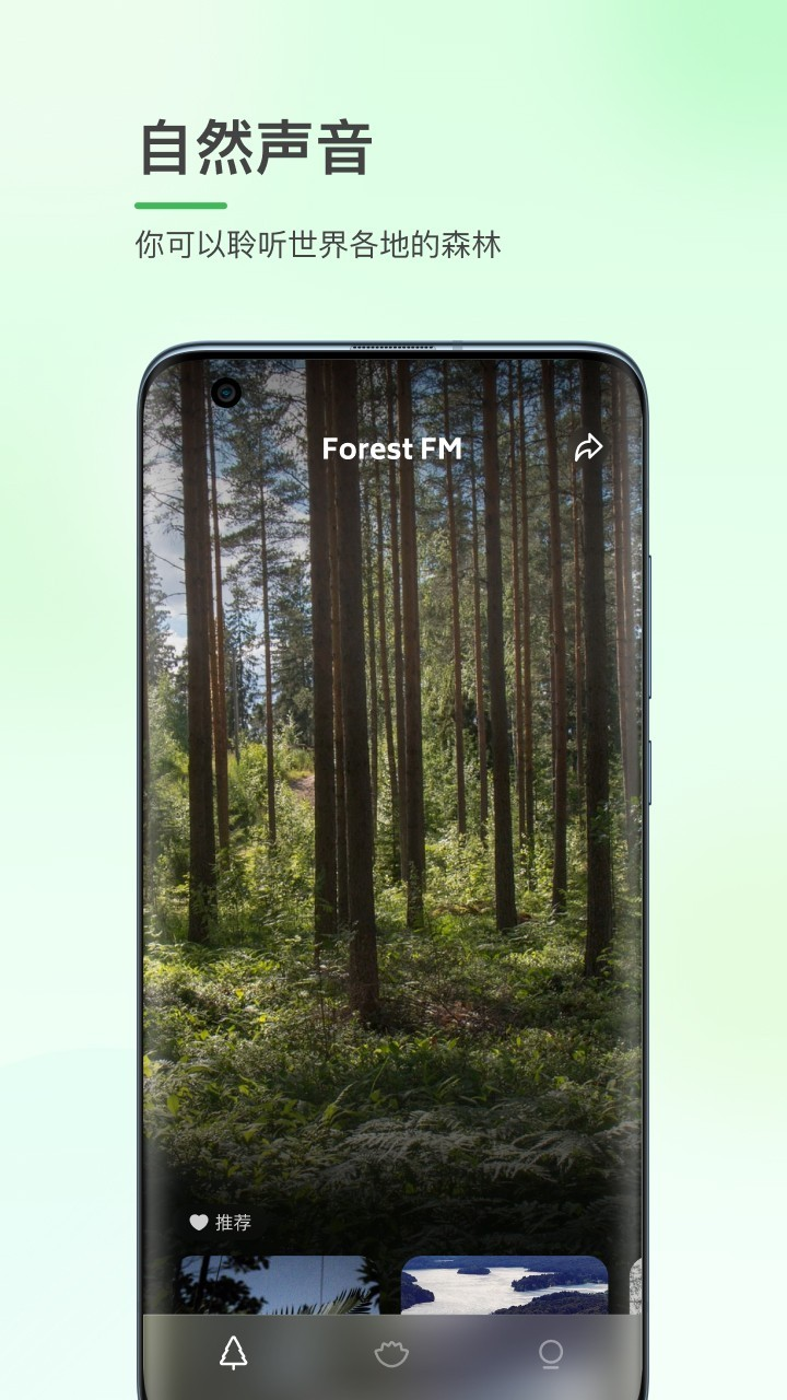 森林白噪音安卓版 截图4