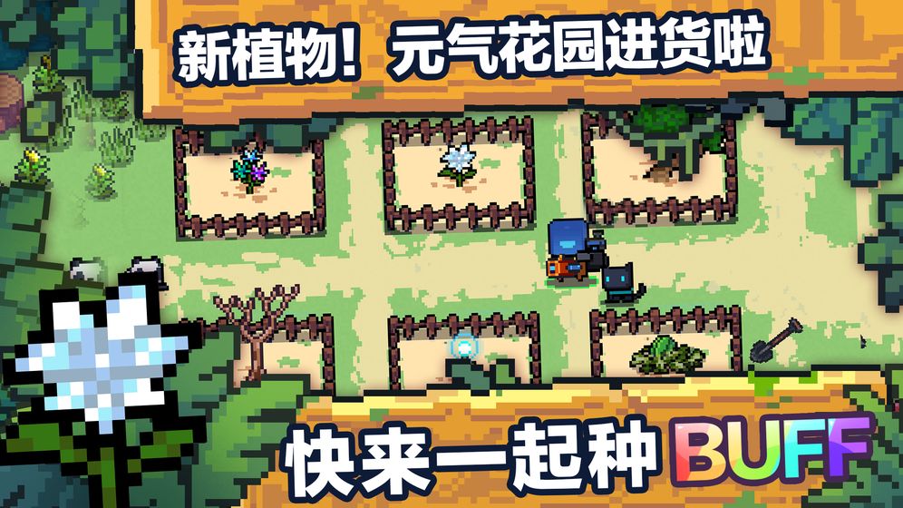 来打这些鸟 截图3