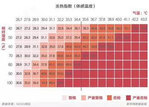 揭秘：体感温度与实际温度究竟有何不同？ 2