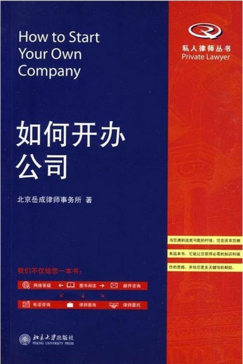 从零到一：打造梦想公司的全面指南与实战策略 4