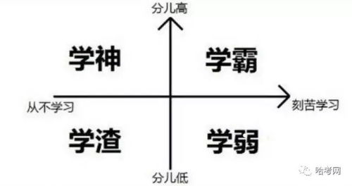 怎样才能让孩子对写作业上瘾的方法？ 4