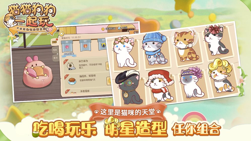 猫猫狗狗一起玩正版 截图5