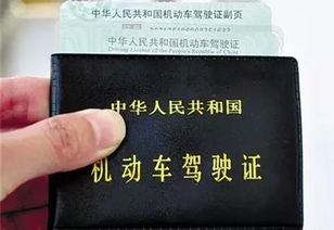 身份证丢失后的应急处理指南 3