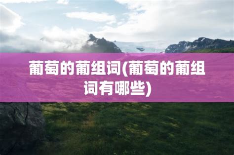 葡萄美词大集合，探索“葡”的奇妙词组世界 2