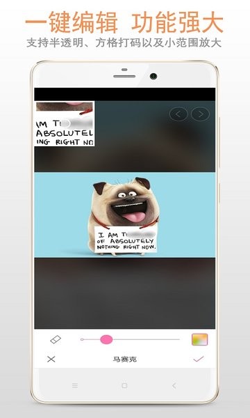 马赛克打码专家APP 1