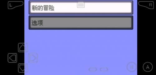 口袋妖怪黑暗之火汉化版 截图3