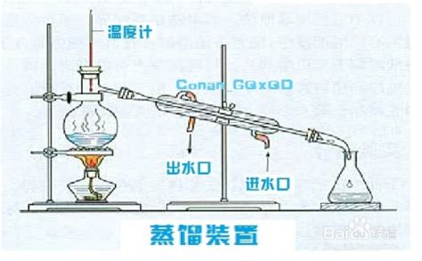 【揭秘】轻松学会提取迷人玫瑰精油的小技巧 4