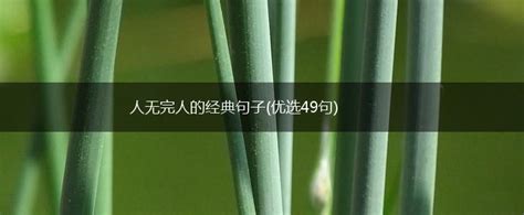 探索“人无完人”的下一句，启迪智慧人生 1