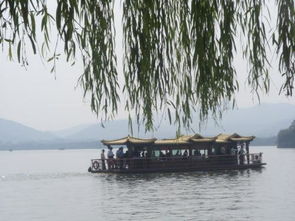 绝美风光何处寻？晴雨皆奇西湖景 3