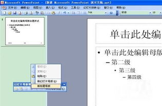 掌握PowerPoint 2003，轻松打造专业级PPT演示文稿 2