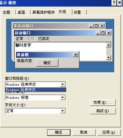 Windows XP系统外观大变身？教你轻松更改主题与外观！ 3