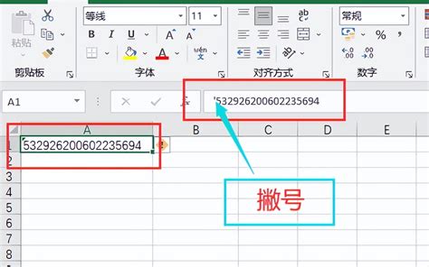 在Excel中正确录入身份证号码的方法 1