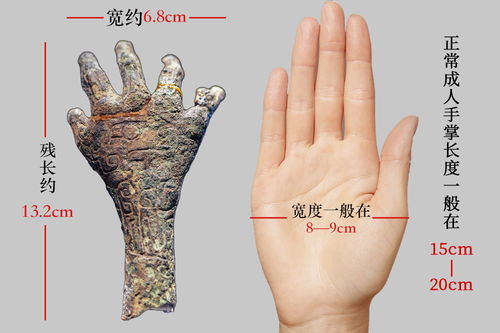 五指的名称 1
