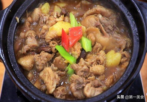 家常炖鸡制作秘籍，轻松掌握美味佳肴！ 2