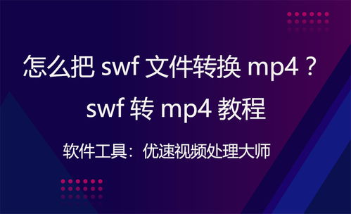解锁SWF文件！轻松将SWF转为MP4的必备软件与步骤指南！ 3