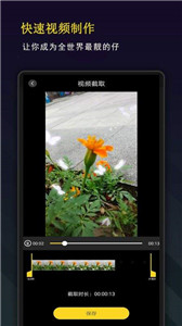 剪影秀秀 截图2