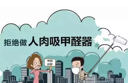 有效方法：去除室内甲醛 4