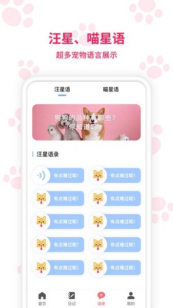 动物翻译器app 1