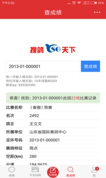 搜鸽天下 1