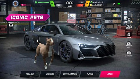 赛车王国官方正版 1