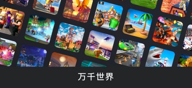 roblox手机版中文版 截图3