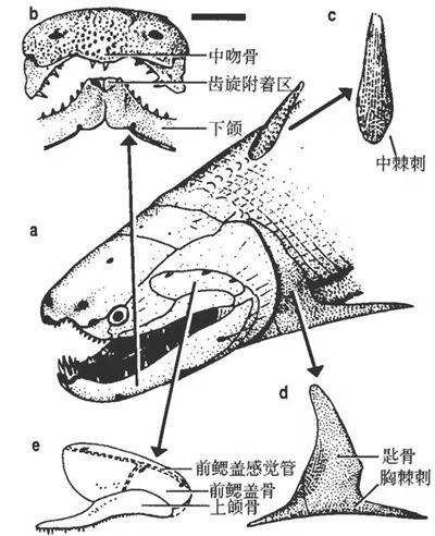 鳞次栉比这个词具体是什么意思？ 2